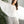 Load image into Gallery viewer, Valley Bell Sleeve Top
