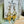 Load image into Gallery viewer, Golden Willow Earrings
