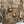 Load image into Gallery viewer, Victorian Whisper Earrings
