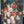 Load image into Gallery viewer, Ruby Hummingbird Scarf
