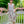 Load image into Gallery viewer, Italian Garden Floral Linen Dress
