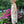 Load image into Gallery viewer, Italian Garden Floral Linen Dress
