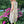 Load image into Gallery viewer, Italian Garden Floral Linen Dress
