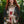 Load image into Gallery viewer, I Dream In Flowers Kimono Duster
