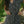 Load image into Gallery viewer, Twilight Tango Wrap Dress

