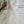 Load image into Gallery viewer, The Boho Shawl Scarf
